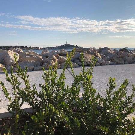 Total Escape Mobile Home Nera Camp Porton Biondi Rovinj Dış mekan fotoğraf