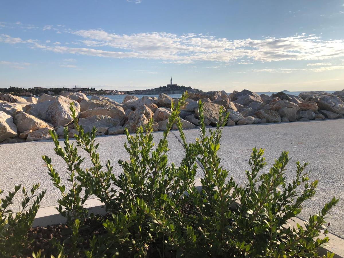 Total Escape Mobile Home Nera Camp Porton Biondi Rovinj Dış mekan fotoğraf