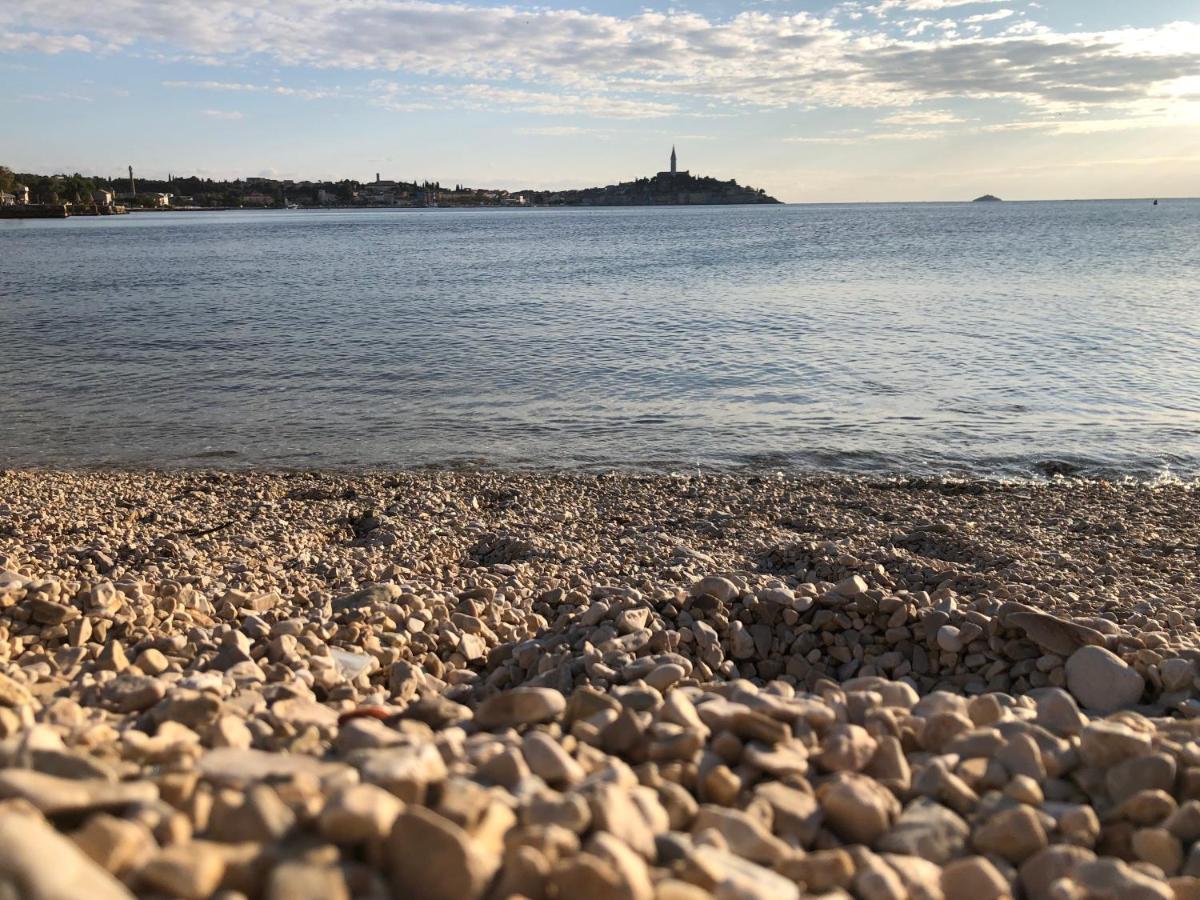 Total Escape Mobile Home Nera Camp Porton Biondi Rovinj Dış mekan fotoğraf